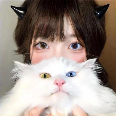 队长小翼2世少篇